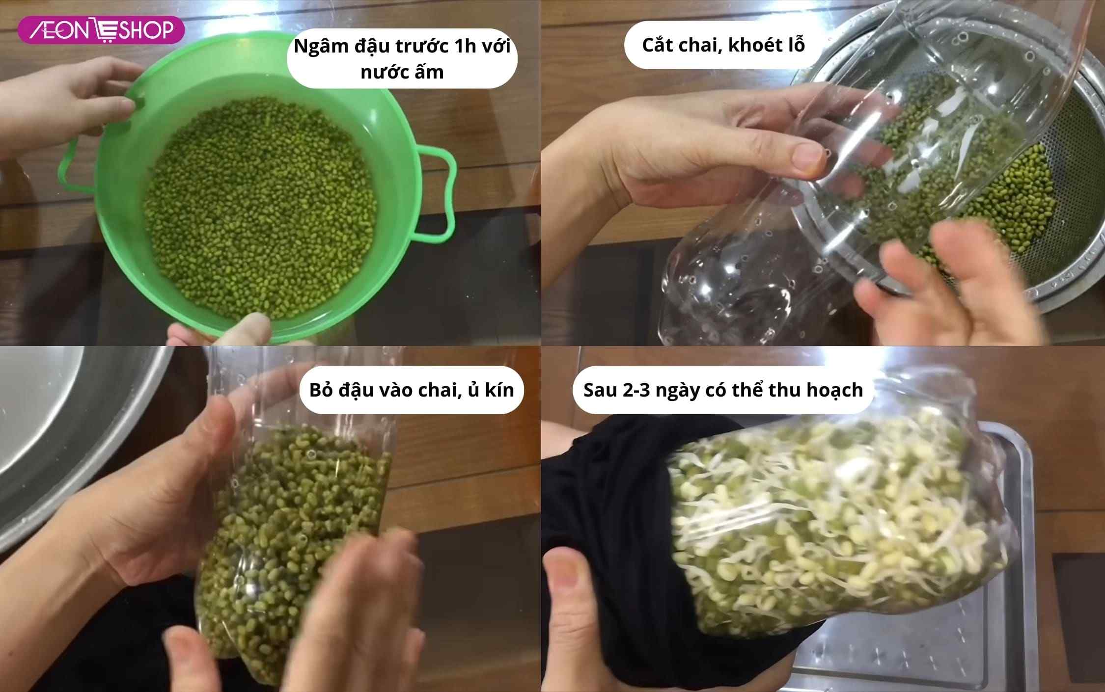 Cách làm giá tại nhà bằng chai nhựa 