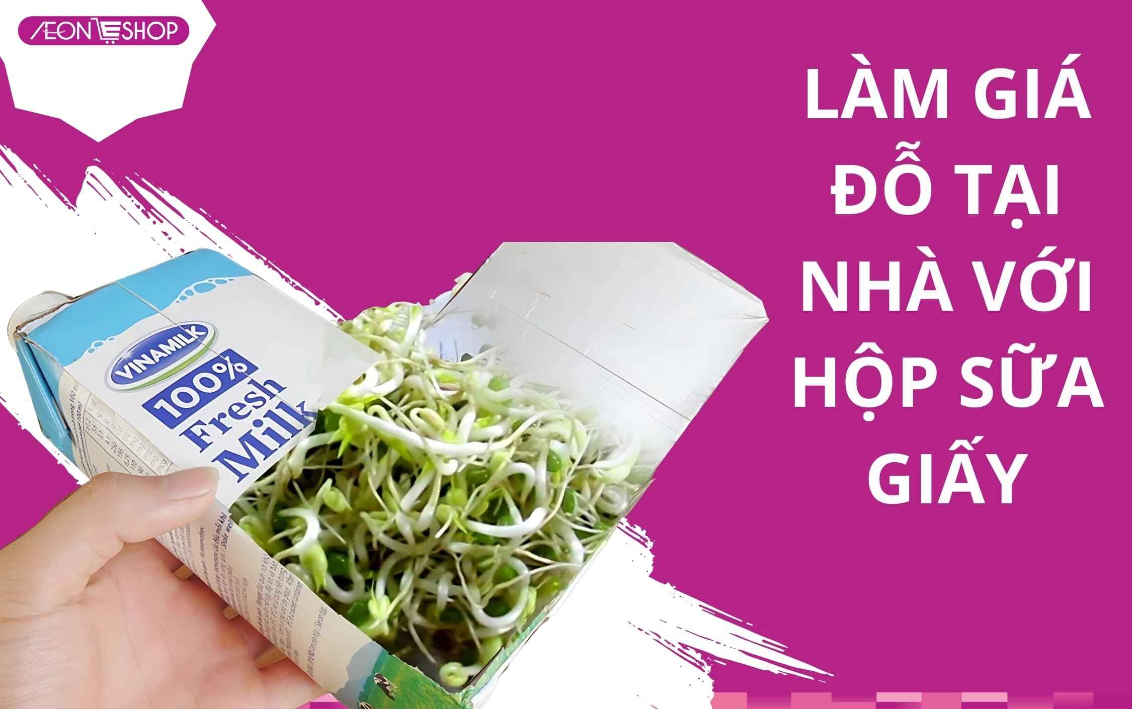 Cách làm giá tại nhà bằng vỏ hộp sữa giấy