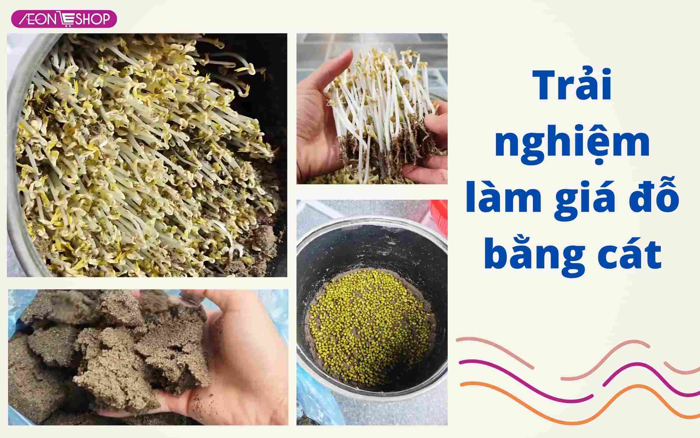 Cách làm giá tại đỗ tại nhà bằng cát
