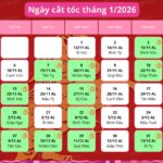Lịch cắt tóc tháng 1/2026: Đón năm mới may mắn, hút tài lộc