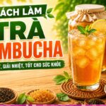 Cách làm trà kombucha trái cây tốt cho sức khỏe, đơn giản tại nhà