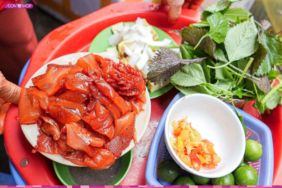 Sứa đỏ Cát Bà