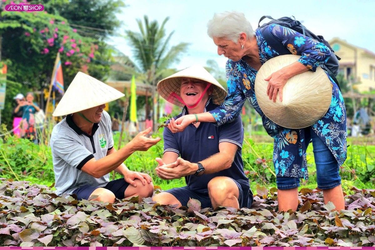 Rau Trà Quế Hội An