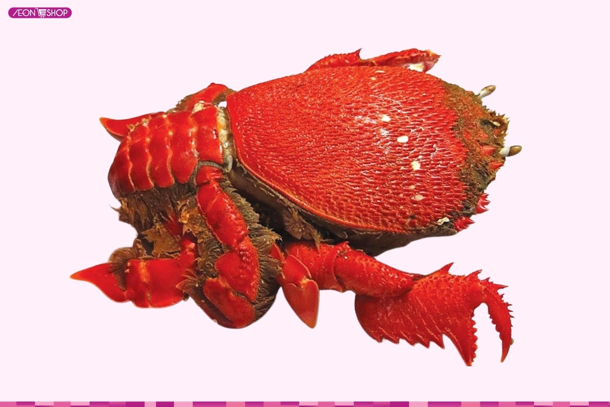 Cua Huỳnh Đế
