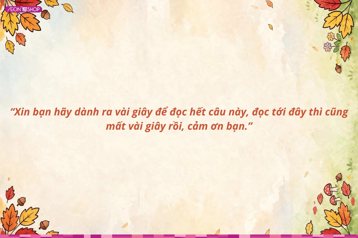 STT hài hước câu like và tăng tương tác