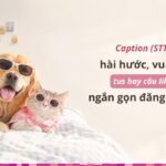 Caption (STT) hài hước, vui vẻ, tus hay câu like ngắn gọn đăng mạng