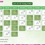 Lịch cắt tóc tháng 3/2027: Ngày nào tốt, ngày nào xấu không nên cắt tóc?