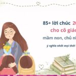 85+ lời chúc 20/10 cho cô giáo mầm non, chủ nhiệm ý nghĩa nhất mọi thời đại